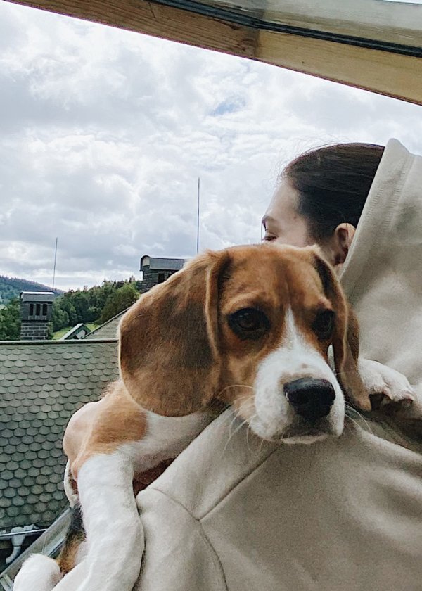 Przyjedź na dłużej 