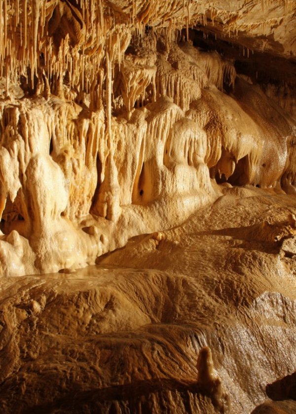 Jaskinia Niedźwiedzia