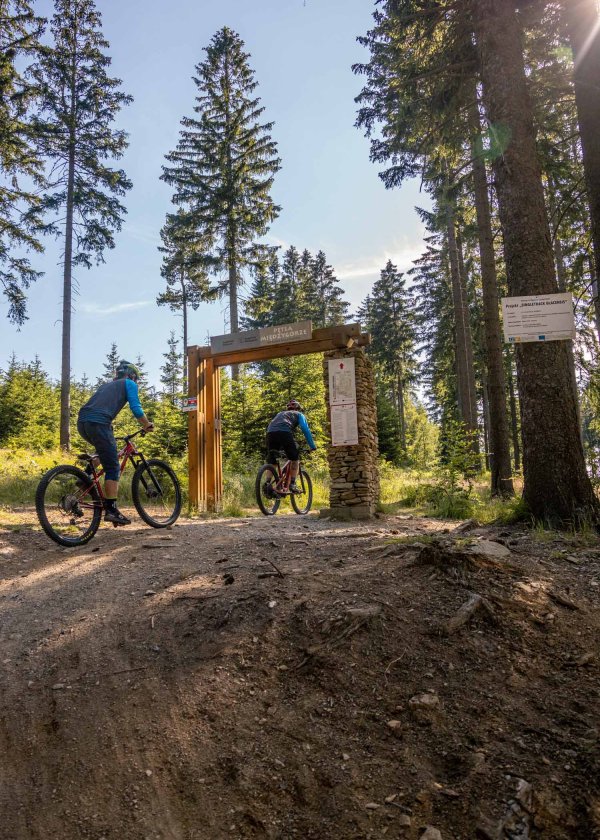 Singletrack Glacensis