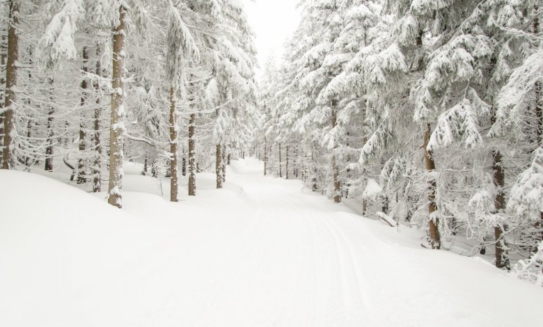 Ponad 200 km tras na biegówki