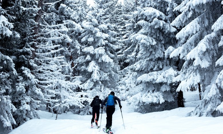 Skitury w Masywie Śnieżnika