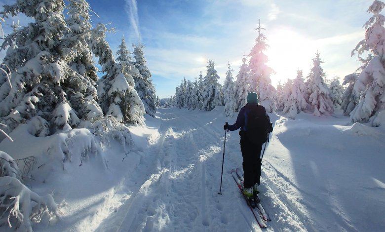 Výlet do Śnieżniku
