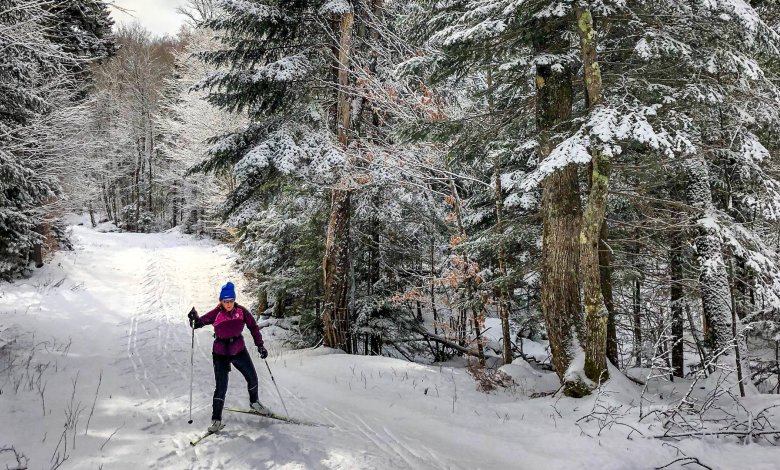 Slevová karta <br> my Czarna Góra x Holimo