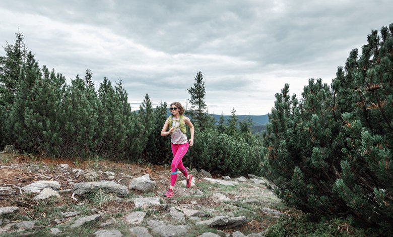 Výlet do Śnieżniku