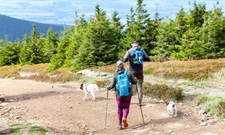 Výlet do Śnieżniku