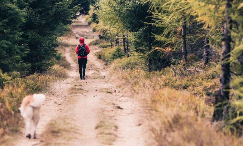 Výlet do Śnieżniku