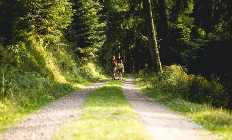 Szlaki piesze, trasy biegowe i nordic walking