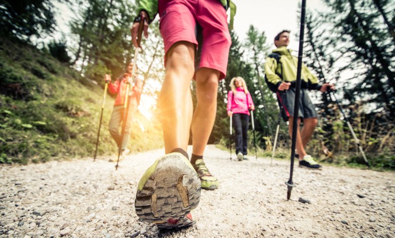 Szlaki piesze, trasy biegowe i nordic walking