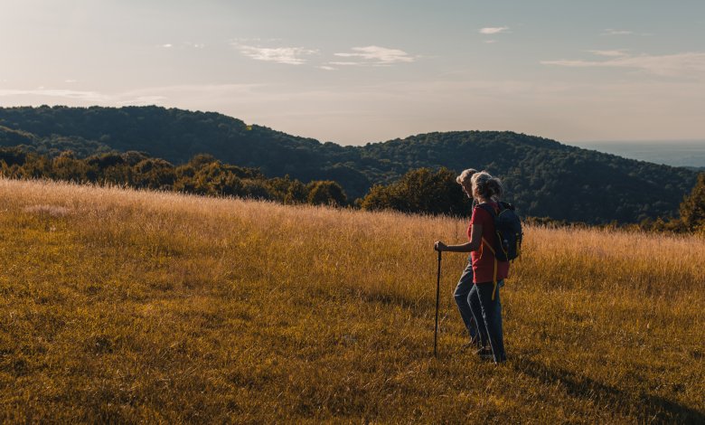 Szlaki piesze, trasy biegowe i nordic walking
