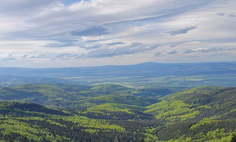 Borówkowa 900 m n.p.m. - Piękne widoki, wieża widokowa i prosty szlak turystyczne