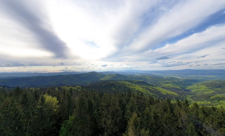 Borówkowa 900 m n.p.m. - Piękne widoki, wieża widokowa i prosty szlak turystyczne