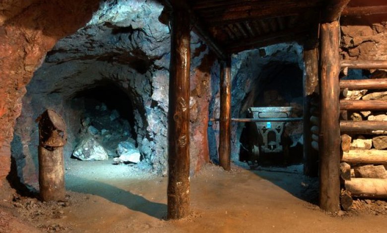 Slevová karta <br> my Czarna Góra x Holimo