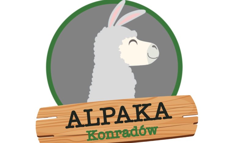 Spacer z alpakami i mini zoo