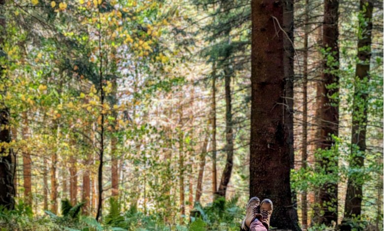 Leśna Kąpiel - odstresuj się i zanurz w atmosferze lasu