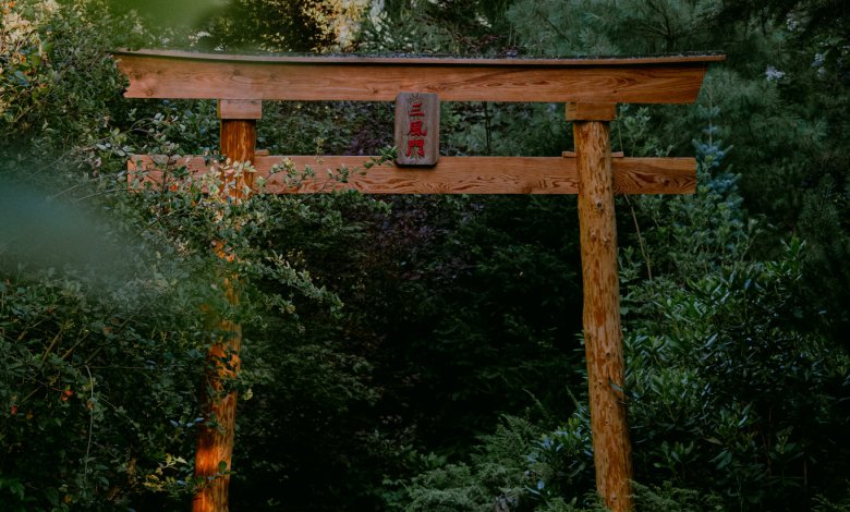 Wapiennik „Łaskawy Kamień” -  sztuka, historia i natura w jednym miejscu