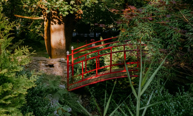 Wapiennik „Łaskawy Kamień” -  sztuka, historia i natura w jednym miejscu