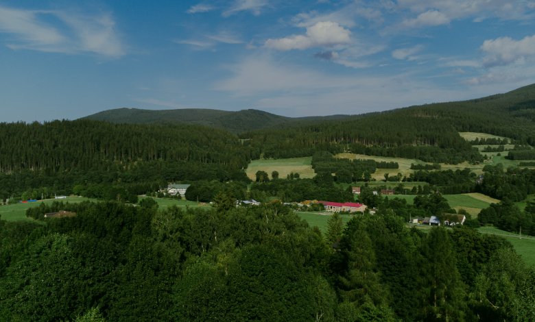 Wapiennik „Łaskawy Kamień” -  sztuka, historia i natura w jednym miejscu