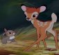 <B>PT: DZIEŃ LASU Z BAMBI!</B>