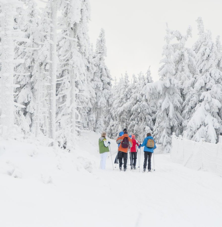 Ponad 200 km tras na biegówki