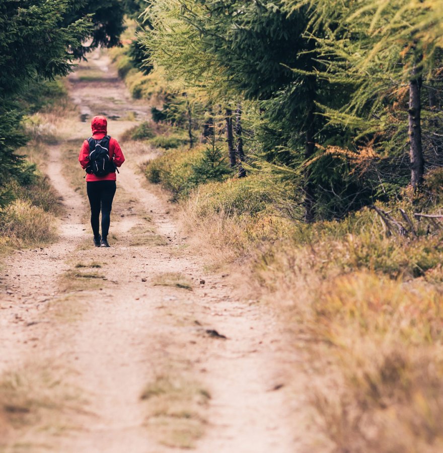Szlaki piesze, trasy biegowe i nordic walking