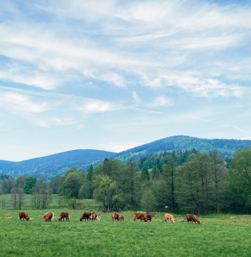 Urlop w górach, ale bez tłumów? Znamy takie miejsce.