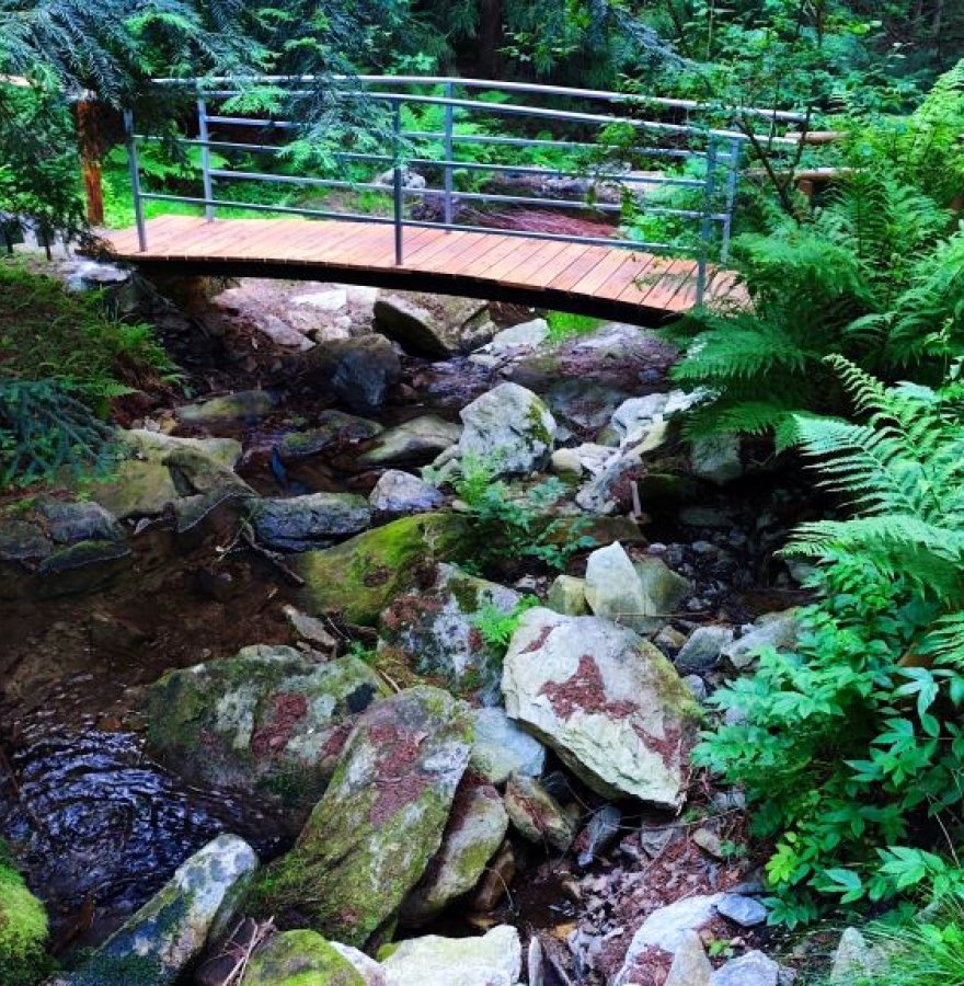 Arboretum Lądek Zdrój