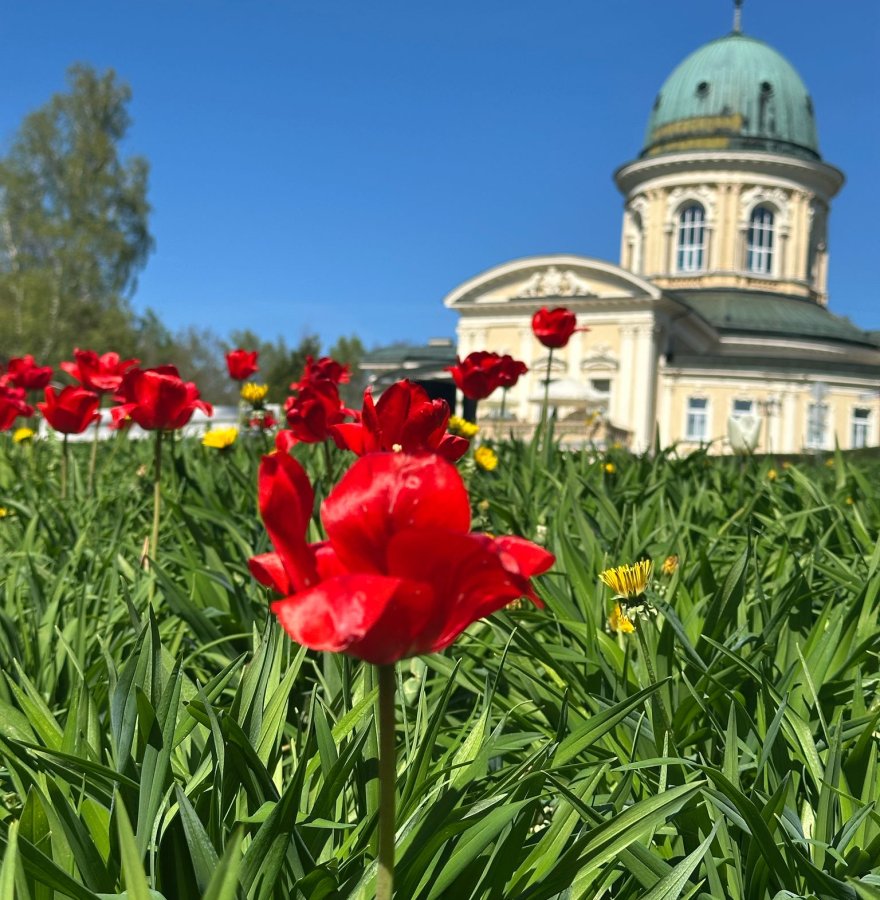 Uzdrowisko w Lądku Zdrój