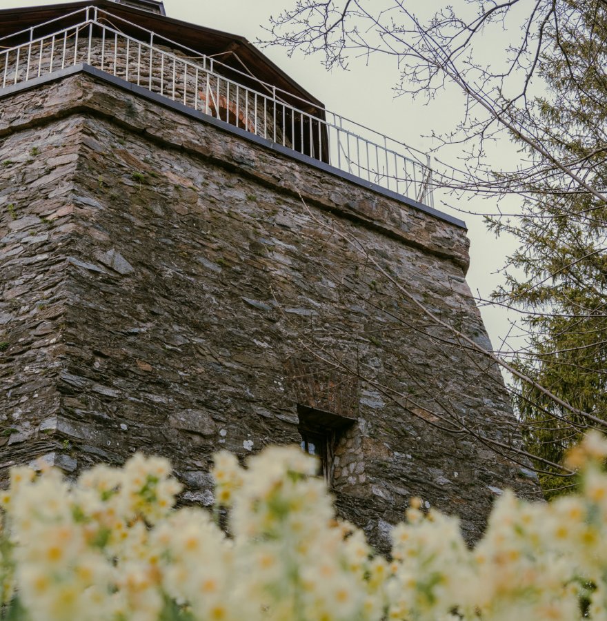 Wapiennik „Łaskawy Kamień” -  sztuka, historia i natura w jednym miejscu