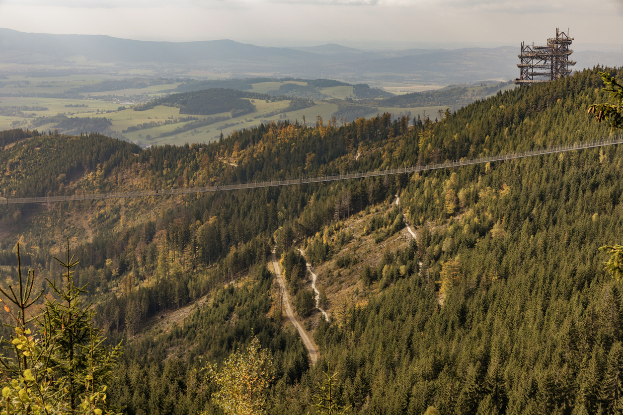 Holimo-sky-bridge-dolni-morava