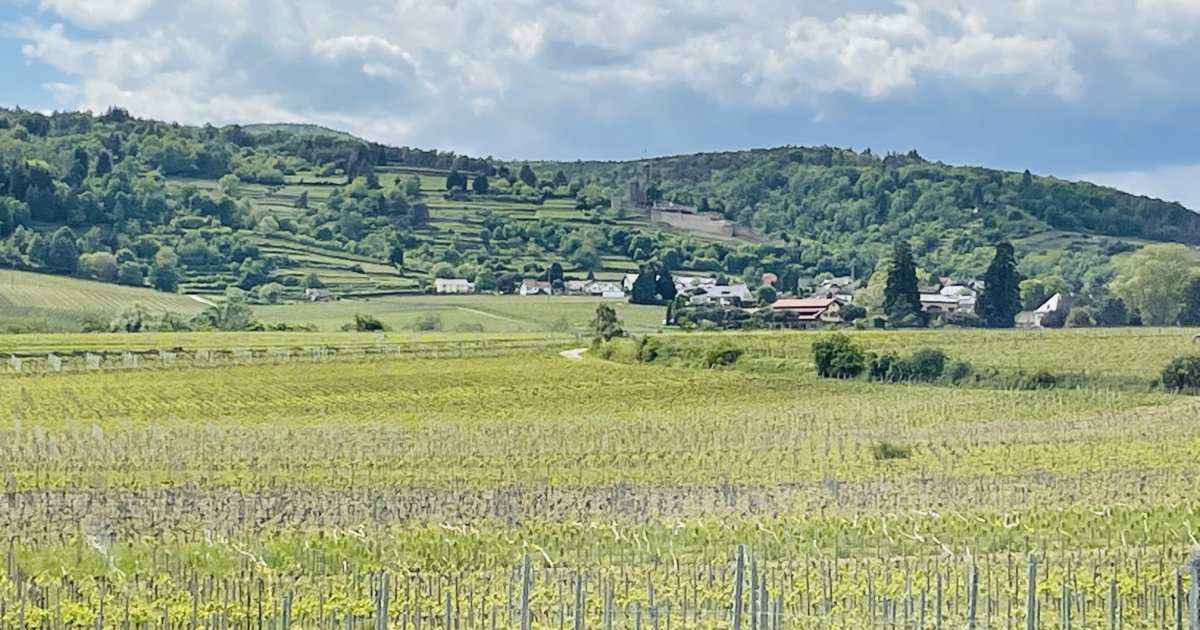 Gartenhotel Heusser GmbH & CO. KG