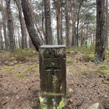 Ausflugsfahrt Pfälzer Wald