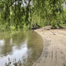 Tageswanderung zum Isenachweiher