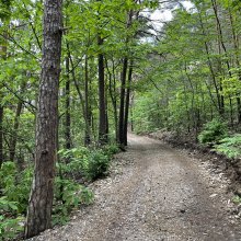 Pfalz Pfade Saupferch. Rundweg Stüter- und Wächtertal