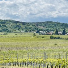 Wachtenburg -Eckkopf-Tour