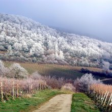 Pfälzer Winterpläne mit Wellness kombiniert