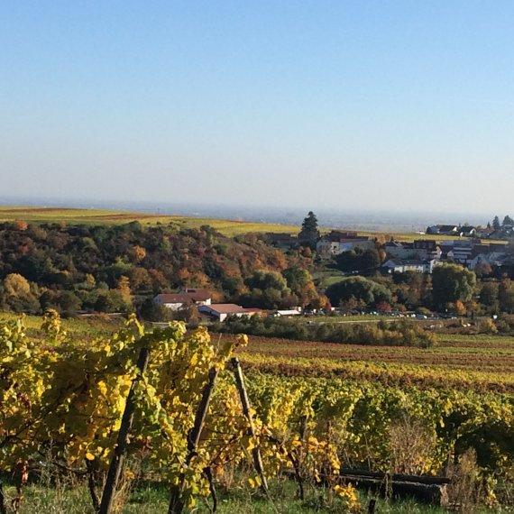 Urlaub mit Hund Rheinland-Pfalz