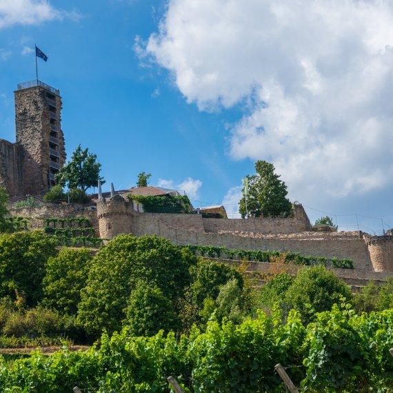 Der perfekte Aufenthaltsort für Ihre Weinwanderung