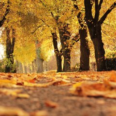 Herbst in Kolberg