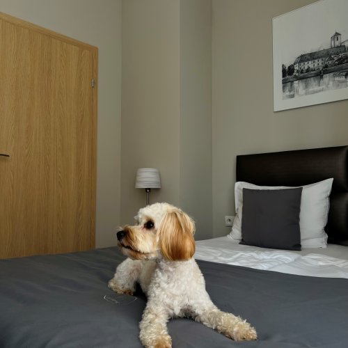 photo home listing 6