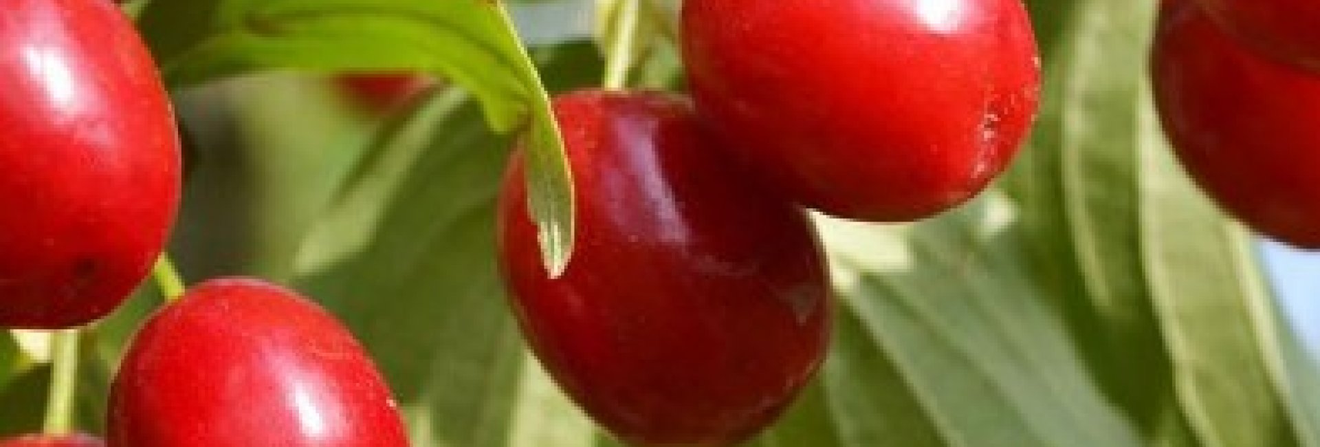 Want to learn more about our products?