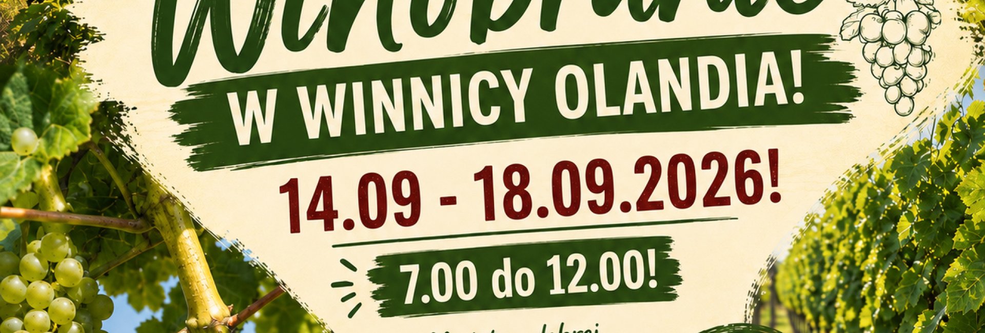 WINOBRANIE W WINNICY OLANDIA! EDYCJA WRZEŚNIOWA