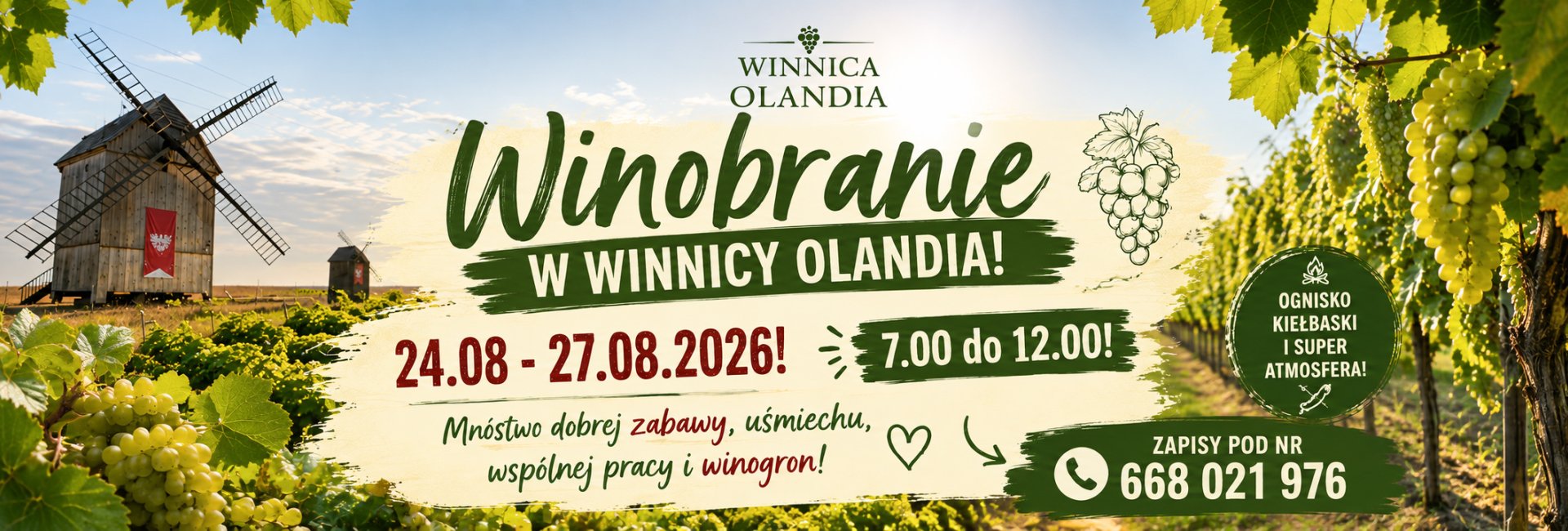 ???? WINOBRANIE W WINNICY OLANDIA! ????