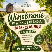 WEINLESE IM WEINBERG OLANDIA!