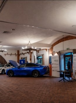 Galeria