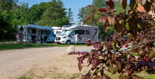 Additional information