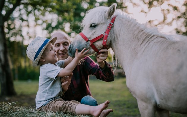 Wypoczynek<br> w Wielkopolsce dla całej rodziny