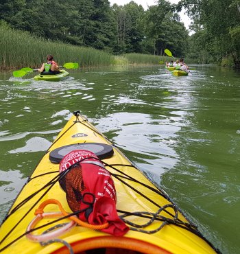 Spływy kajakowe - rzeka Obra