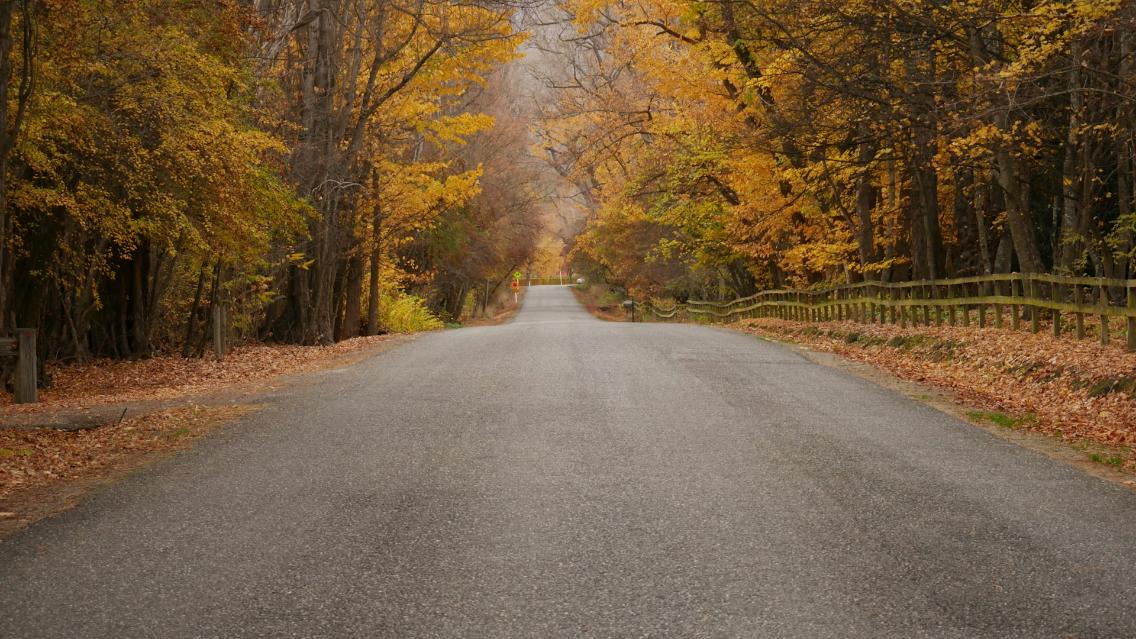 Wycieczka weekendowa listopad