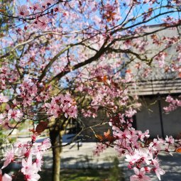 COTTAGES AND SUMMER HOUSES
