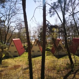 COTTAGES AND SUMMER HOUSES